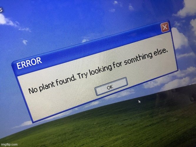 Why is my computer like this. | ERROR No plant found. Try looking for somthing else. OK | image tagged in why is my computer like this | made w/ Imgflip meme maker