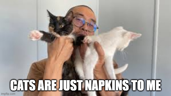 Wipe Yo Mouth...with Cats | CATS ARE JUST NAPKINS TO ME | image tagged in cats | made w/ Imgflip meme maker