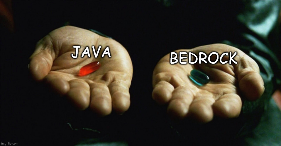 Pick thy poison | JAVA; BEDROCK | image tagged in red pill blue pill | made w/ Imgflip meme maker