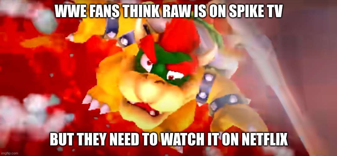 Raw SM3DL | WWE FANS THINK RAW IS ON SPIKE TV; BUT THEY NEED TO WATCH IT ON NETFLIX | image tagged in mario | made w/ Imgflip meme maker