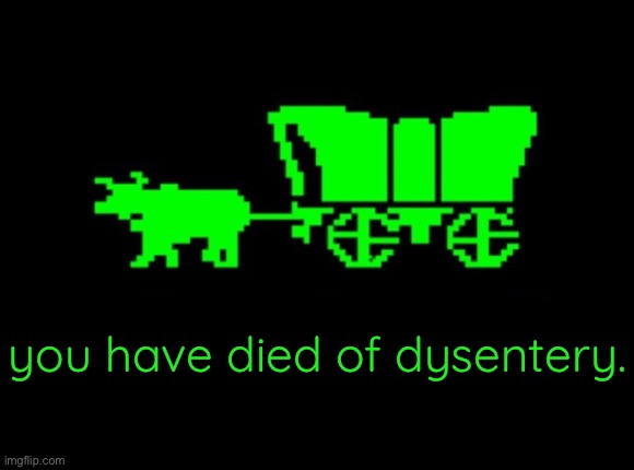Oregon trail | you have died of dysentery. | image tagged in oregon trail | made w/ Imgflip meme maker