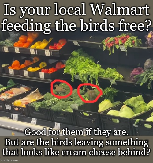 Is your local Walmart feeding the birds free? Good for them if they are.
But are the birds leaving something that looks like cream cheese behind? | made w/ Imgflip meme maker