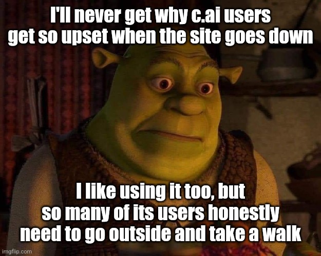 sheg | I'll never get why c.ai users get so upset when the site goes down; I like using it too, but so many of its users honestly need to go outside and take a walk | image tagged in sheg | made w/ Imgflip meme maker