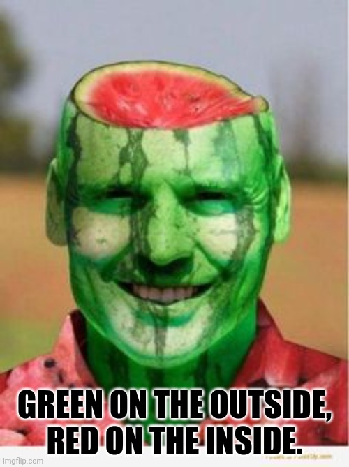 Watermelon Guy | GREEN ON THE OUTSIDE,
RED ON THE INSIDE. | image tagged in watermelon guy | made w/ Imgflip meme maker