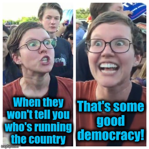 What we learned in 2024 | That's some
good
democracy! When they
won't tell you
who's running
the country | image tagged in social justice warrior hypocrisy,memes,democrats,saving democracy,joe biden,senile creep | made w/ Imgflip meme maker