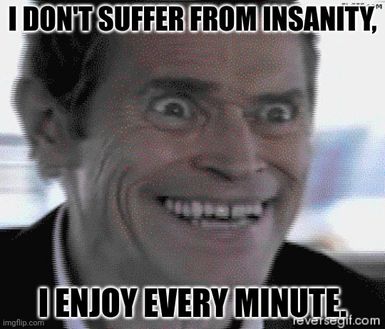 Willem Dafoe Insanity | I DON'T SUFFER FROM INSANITY, I ENJOY EVERY MINUTE. | image tagged in willem dafoe insanity | made w/ Imgflip meme maker