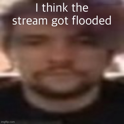 vital rot | I think the stream got flooded | image tagged in vital rot | made w/ Imgflip meme maker