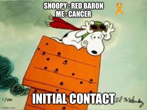 Diagnosis; in Dogfighting: The Merge | image tagged in cancer,red baron,diagnosis,the merge,snoopy | made w/ Imgflip meme maker