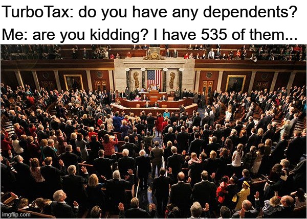 And they have my credit card too ... | TurboTax: do you have any dependents? Me: are you kidding? I have 535 of them... | image tagged in congress,taxation is theft | made w/ Imgflip meme maker