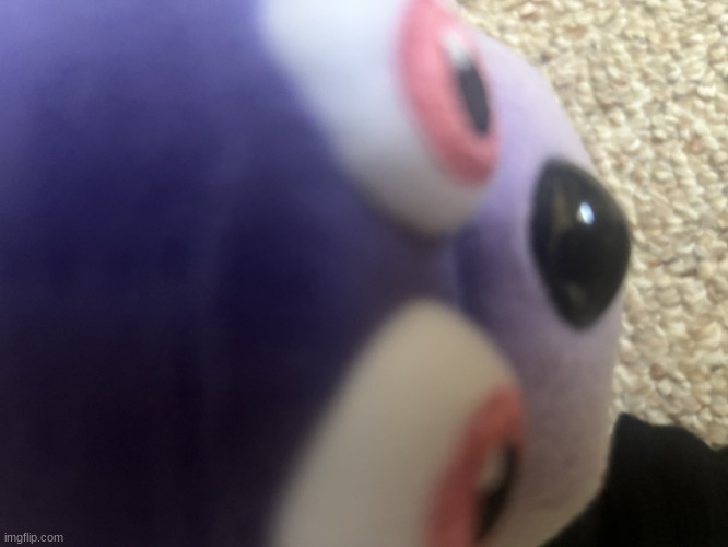 Bonnie plush | image tagged in bonnie plush | made w/ Imgflip meme maker