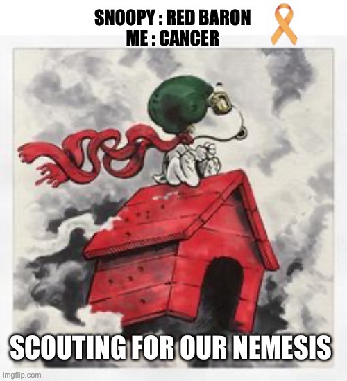 Scanning & Scouting | image tagged in scans,scouts,nemesis,red baron,cancer,snoopy | made w/ Imgflip meme maker