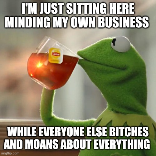 Mind own business | I'M JUST SITTING HERE MINDING MY OWN BUSINESS; WHILE EVERYONE ELSE BITCHES AND MOANS ABOUT EVERYTHING | image tagged in memes,but that's none of my business,kermit the frog,funny memes | made w/ Imgflip meme maker