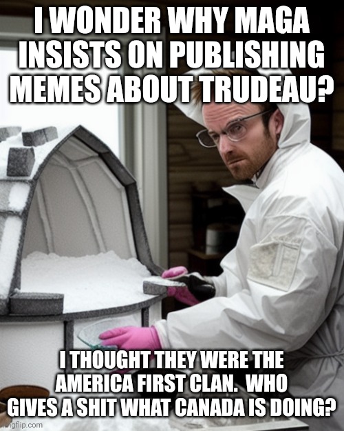 Who cares? | I WONDER WHY MAGA INSISTS ON PUBLISHING MEMES ABOUT TRUDEAU? I THOUGHT THEY WERE THE AMERICA FIRST CLAN.  WHO GIVES A SHIT WHAT CANADA IS DOING? | image tagged in snowcones | made w/ Imgflip meme maker