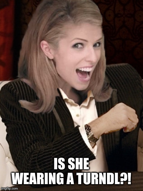 Most interesting pun in the world | IS SHE WEARING A TURNDL?! | image tagged in most interesting pun in the world | made w/ Imgflip meme maker