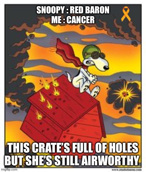 Keep Up The Fight | image tagged in never give up,red baron,snoopy,cancer,worthy | made w/ Imgflip meme maker