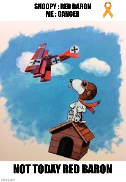 A Good Day | image tagged in a good day,red baron,snoopy,cancer | made w/ Imgflip meme maker