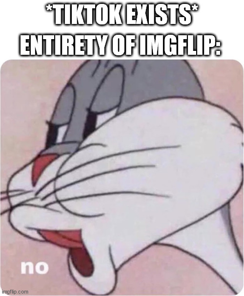 imgflip be like (part 2) | *TIKTOK EXISTS*; ENTIRETY OF IMGFLIP: | image tagged in bugs bunny no | made w/ Imgflip meme maker