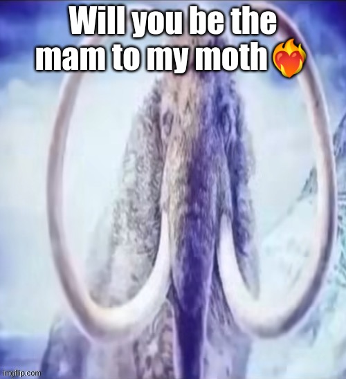 Will you be the mam to my moth❤‍🔥 | image tagged in mammoth | made w/ Imgflip meme maker