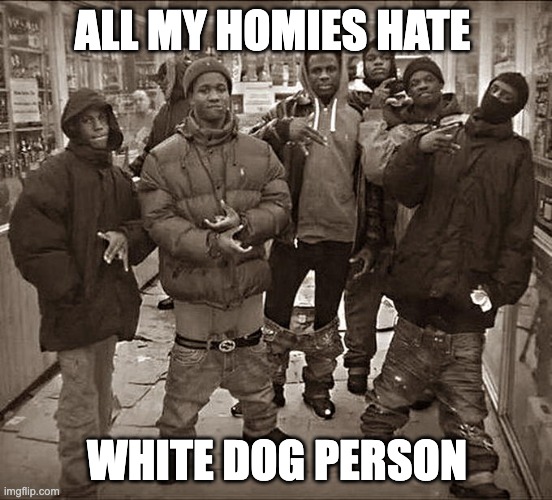 All My Homies Hate | ALL MY HOMIES HATE; WHITE DOG PERSON | image tagged in all my homies hate | made w/ Imgflip meme maker