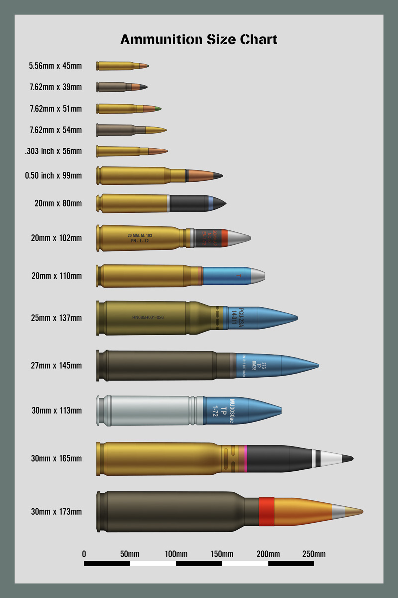 Bullet size chart Blank Meme Template