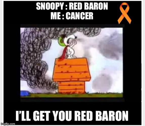 Sometimes There Are Temporary Setbacks | image tagged in setbacks,redbaron,snoopy,cancer | made w/ Imgflip meme maker