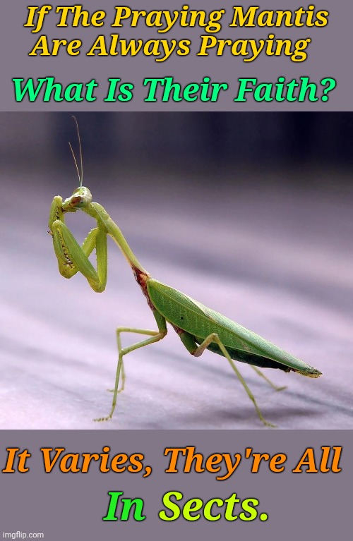 Get Thy Puns Ready For : Pun weekend 24th-26th January. A Cool_Guy_2007, Grease_Monkey & Kraziness event. | If The Praying Mantis Are Always Praying; What Is Their Faith? It Varies, They're All; Sects. In | image tagged in memes,pun weekend,cool_guy_2007,grease_monkey,kraziness,religion | made w/ Imgflip meme maker