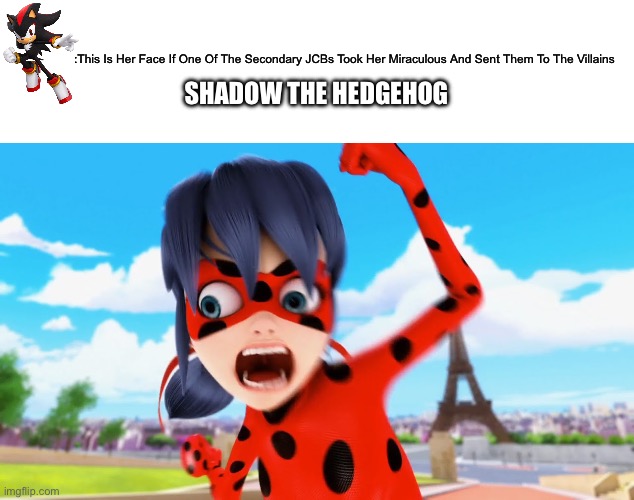 Miraculous ladybug | :This Is Her Face If One Of The Secondary JCBs Took Her Miraculous And Sent Them To The Villains; SHADOW THE HEDGEHOG | image tagged in miraculous ladybug,sonic the hedgehog | made w/ Imgflip meme maker