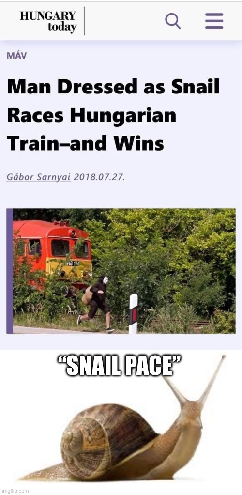 Train race | “SNAIL PACE” | image tagged in snail,train,race | made w/ Imgflip meme maker