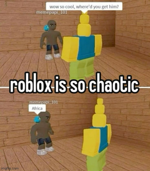 very chaotic indeed | image tagged in roblox,racist,dark humor,parrot,africa,slavery | made w/ Imgflip meme maker