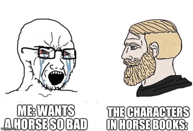 I want a HORSE! | THE CHARACTERS IN HORSE BOOKS:; ME: WANTS A HORSE SO BAD | image tagged in soyboy vs yes chad | made w/ Imgflip meme maker