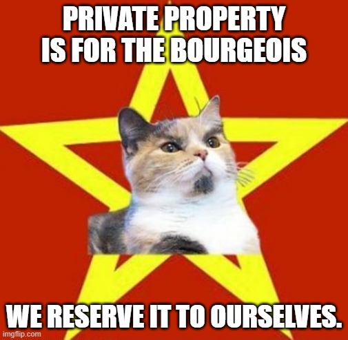 lenin cat | PRIVATE PROPERTY IS FOR THE BOURGEOIS WE RESERVE IT TO OURSELVES. | image tagged in lenin cat | made w/ Imgflip meme maker