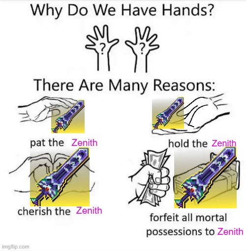 why do we have hands: terraira edition | Zenith; Zenith; Zenith; Zenith | image tagged in why do we have hands all blank | made w/ Imgflip meme maker