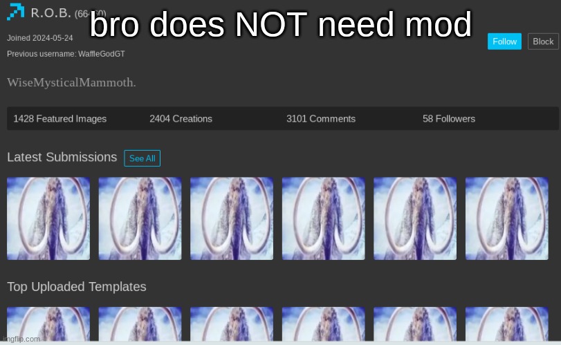 crazy how he's saying he'll ban foxy501 for spam | bro does NOT need mod | made w/ Imgflip meme maker