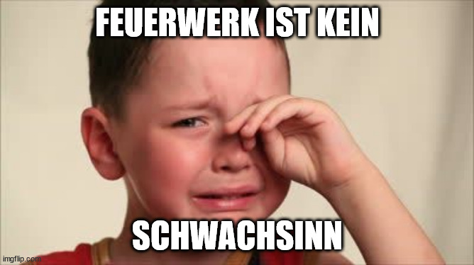 Crying kid | FEUERWERK IST KEIN; SCHWACHSINN | image tagged in crying kid | made w/ Imgflip meme maker