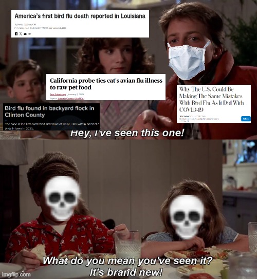 bird flu | image tagged in hey ive seen this one before | made w/ Imgflip meme maker