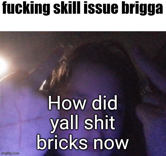 fucking skill issue brigga | How did yall shit bricks now | image tagged in fucking skill issue brigga | made w/ Imgflip meme maker