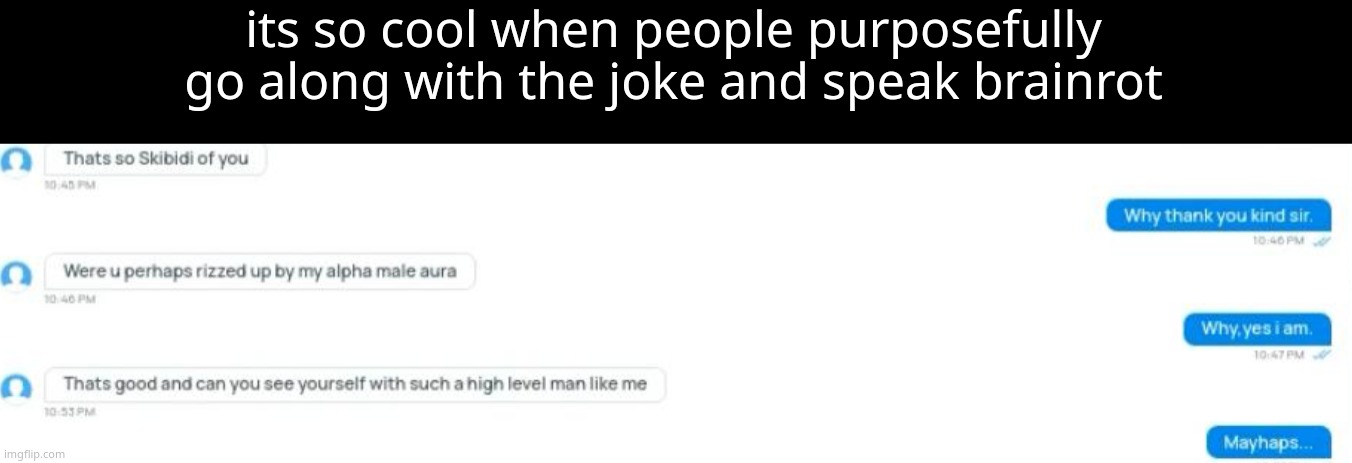 its so cool when people purposefully go along with the joke and speak brainrot | made w/ Imgflip meme maker