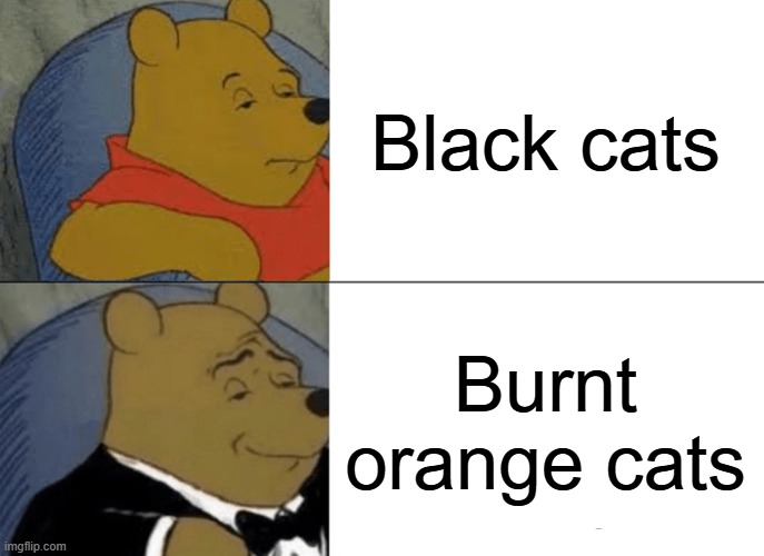 Tuxedo Winnie The Pooh | Black cats; Burnt orange cats | image tagged in memes,funny,tuxedo winnie the pooh,orange cat behavior,black cat,orange cat | made w/ Imgflip meme maker