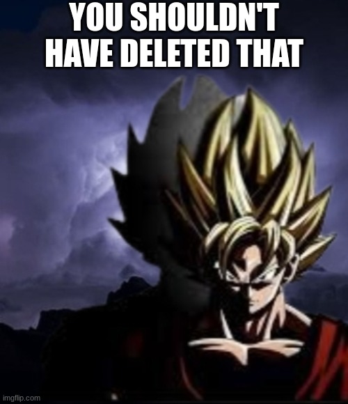 @ROB | YOU SHOULDN'T HAVE DELETED THAT | image tagged in lowteirgoku | made w/ Imgflip meme maker