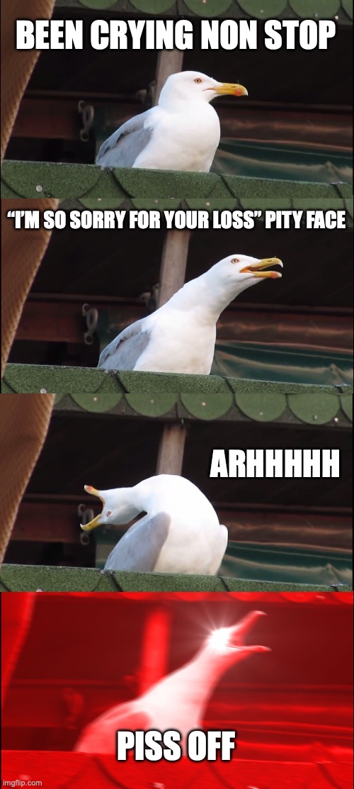Funeral pity face | BEEN CRYING NON STOP; “I’M SO SORRY FOR YOUR LOSS” PITY FACE; ARHHHHH; PISS OFF | image tagged in memes,inhaling seagull | made w/ Imgflip meme maker
