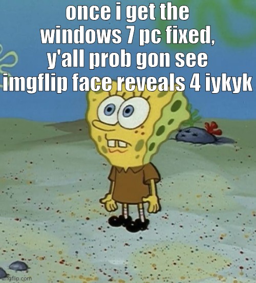 spob | once i get the windows 7 pc fixed, y'all prob gon see imgflip face reveals 4 iykyk | image tagged in spob | made w/ Imgflip meme maker