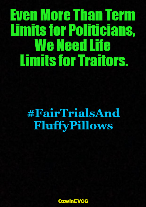 One TL, Another [TL] | Even More Than Term 

Limits for Politicians, 

We Need Life 

Limits for Traitors. #FairTrialsAnd
FluffyPillows; OzwinEVCG | image tagged in term limits,fair trials,life limits,crime and punishment,politicians suck,government corruption | made w/ Imgflip meme maker