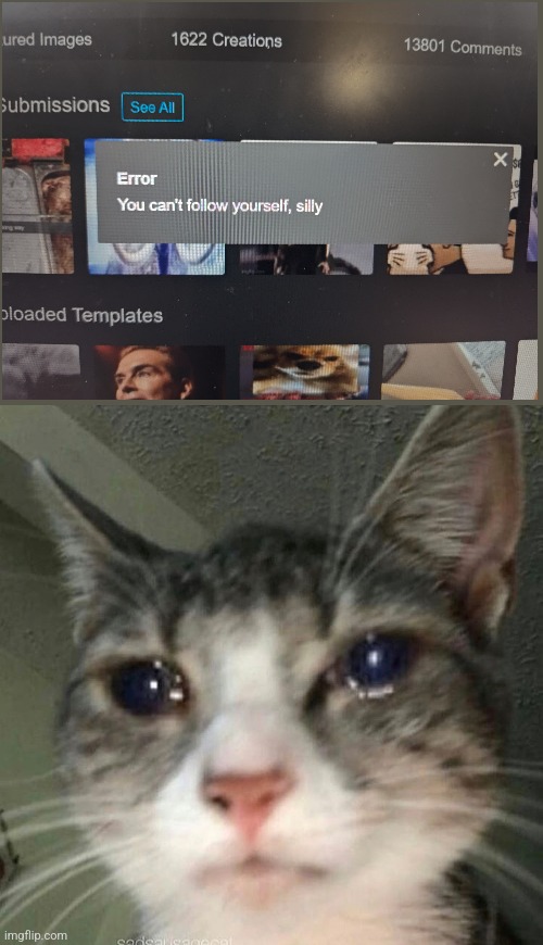 ㅤ | image tagged in crying cat | made w/ Imgflip meme maker