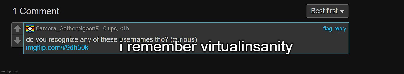 i remember virtualinsanity | made w/ Imgflip meme maker