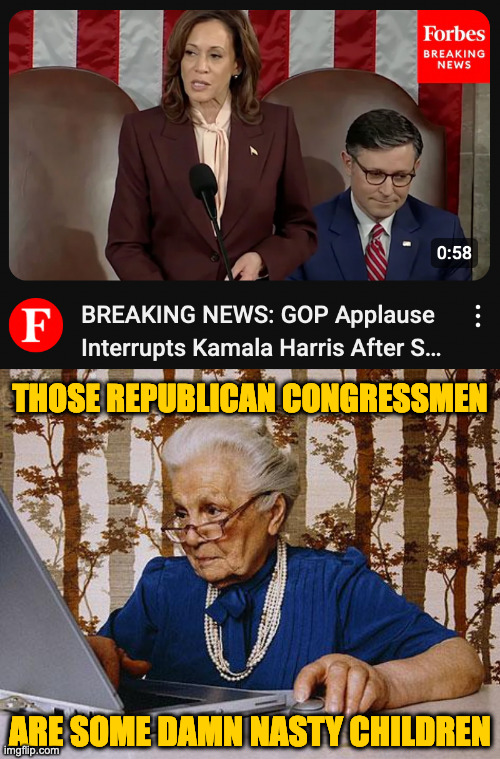 The problem is their mothers taught them no respect. | THOSE REPUBLICAN CONGRESSMEN; ARE SOME DAMN NASTY CHILDREN | image tagged in old woman at pc,memes,nasty,mothers | made w/ Imgflip meme maker