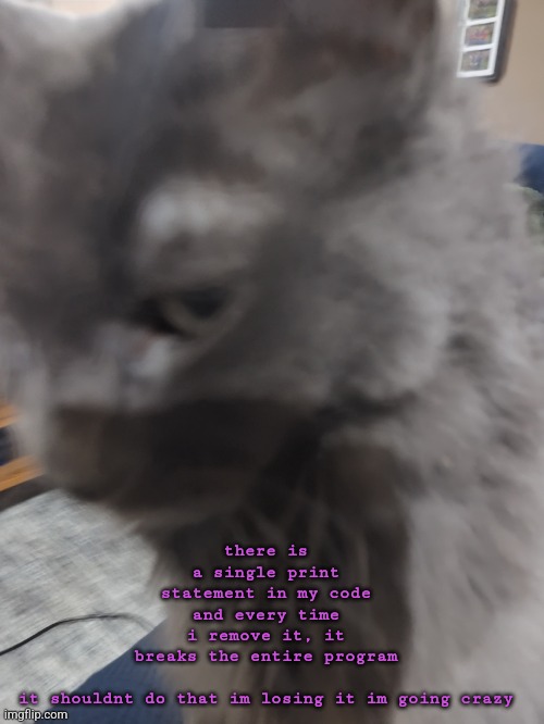 32's Cat | there is a single print statement in my code and every time i remove it, it breaks the entire program
 

it shouldnt do that im losing it im going crazy | image tagged in 32's cat | made w/ Imgflip meme maker