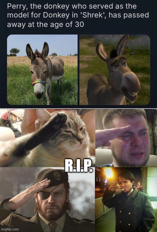 Only 7 days in and 2025 sucks already :'( | R.I.P. | image tagged in ozon's salute,shrek,donkey,rest in peace | made w/ Imgflip meme maker