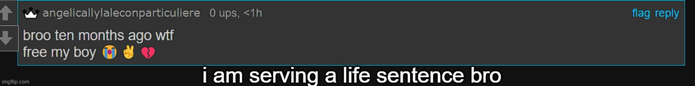 i might be the only user to get persceuted for something that followed the rules plus this might be the biggest punishement ever | i am serving a life sentence bro | made w/ Imgflip meme maker
