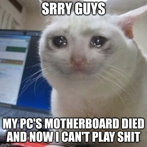 This just happened to me IRL | SRRY GUYS; MY PC'S MOTHERBOARD DIED AND NOW I CAN'T PLAY SHIT | image tagged in crying cat,roblox,gaming,pc | made w/ Imgflip meme maker