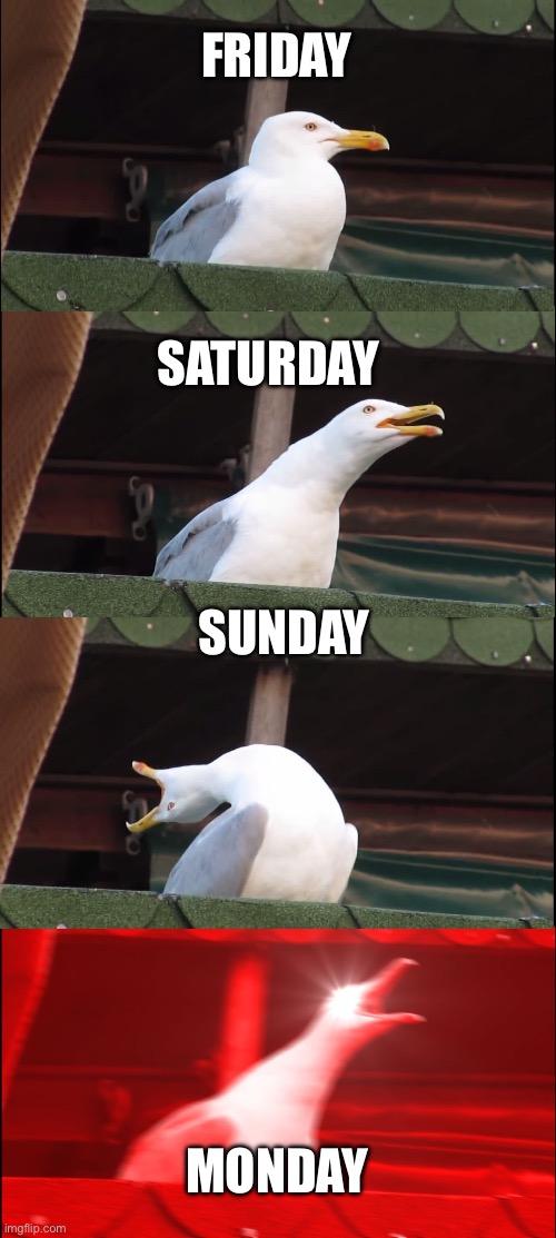 Make sure to get me to at least 1200 views if cannot then at least 200 thanks to all of u out there that do check out my memes | FRIDAY; SATURDAY; SUNDAY; MONDAY | image tagged in memes,inhaling seagull | made w/ Imgflip meme maker